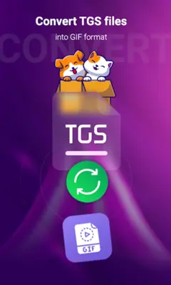 TGS Converter MP4 & GIF android App screenshot 1